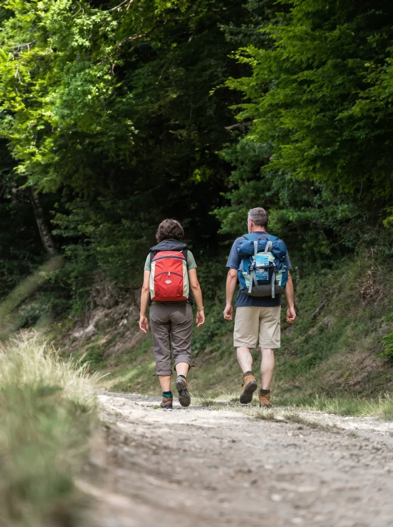 Couple of hikers setting off on a forest trail at the heart of the Montagne de Reims regional nature park, near the Pré en Bulles gîtes in Trépail. Nature tourism in Champagne.