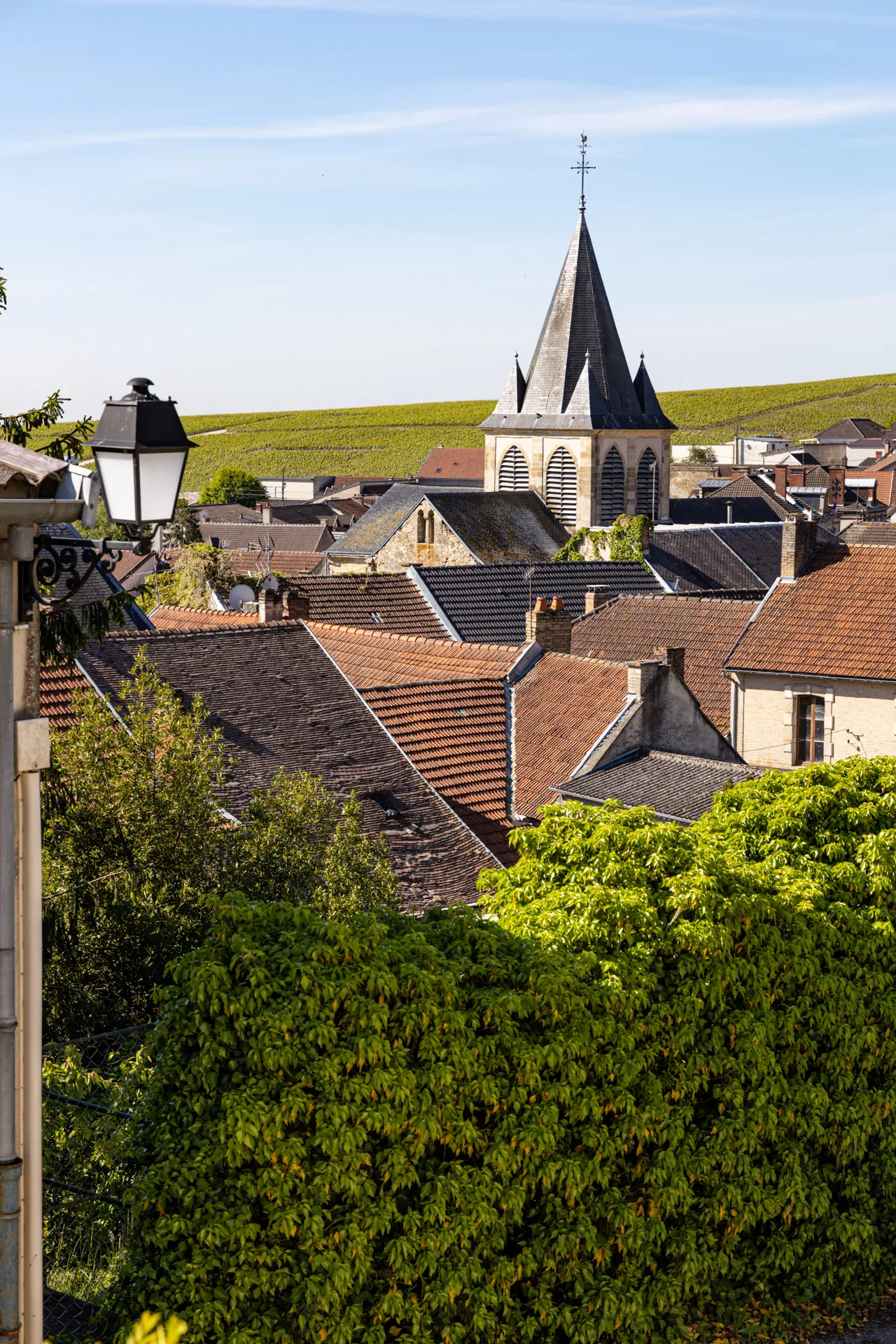 Vue sur le village de Trépail et le vignoble champenois – œnotourisme Montagne de Reims, Pré en Bulles entre Reims et Épernay