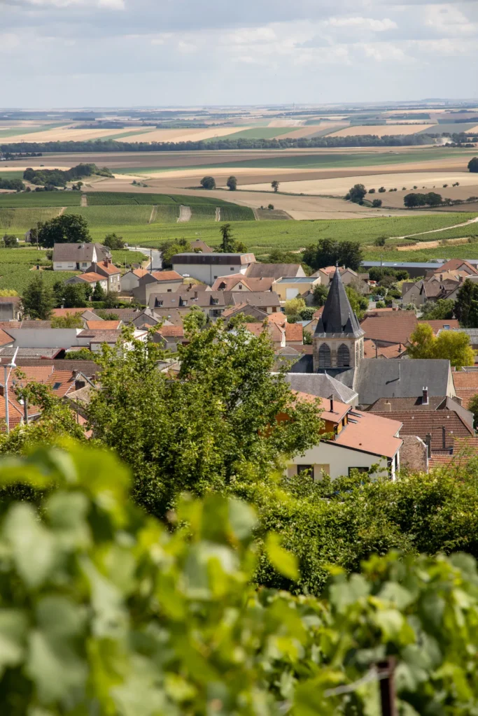 Village de Trépail vu depuis les vignes, Champagne